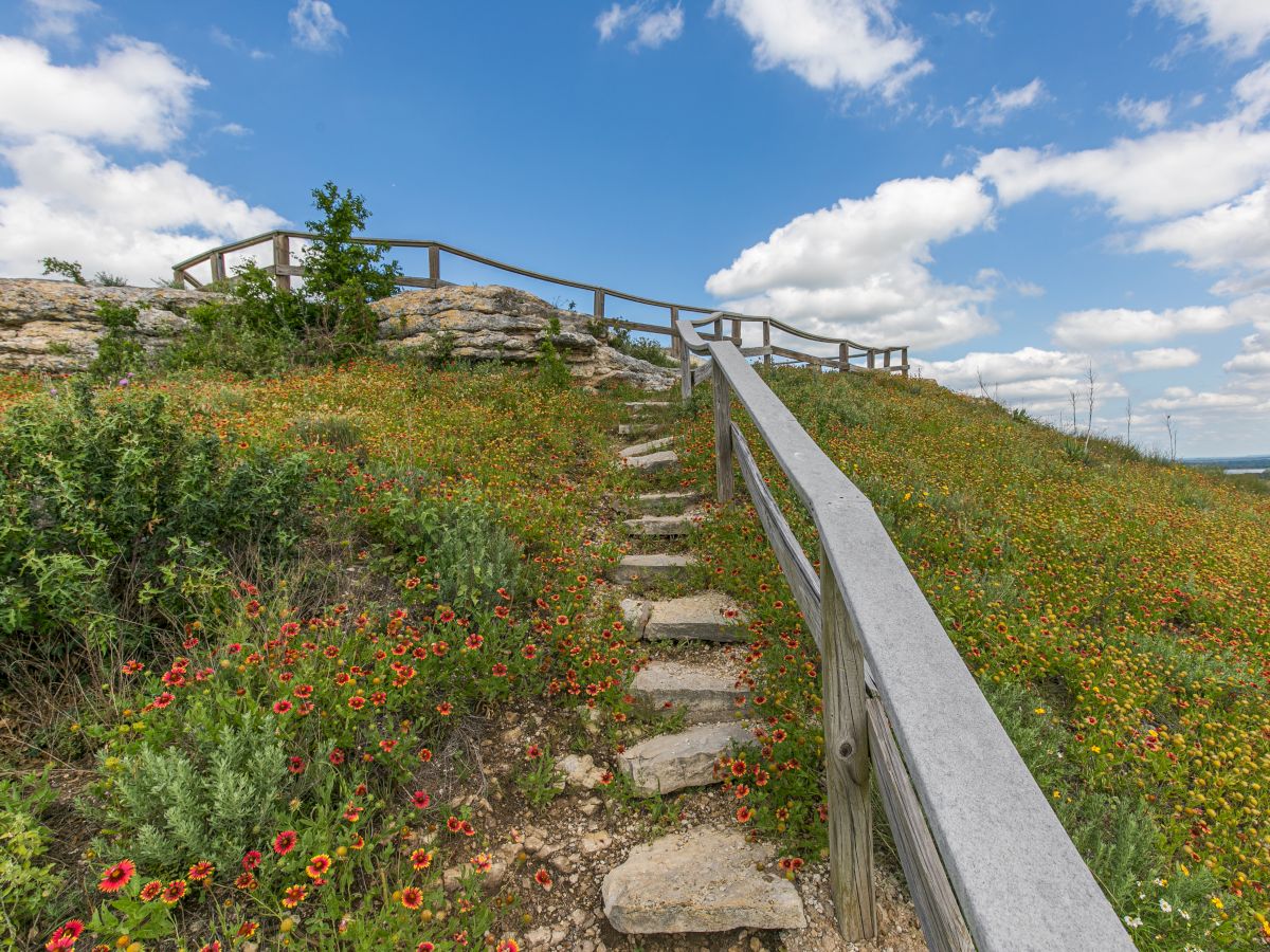 A stone path with a railing leads up a hill covered in wildflowers, bordered by a wooden fence under a partly cloudy sky.
